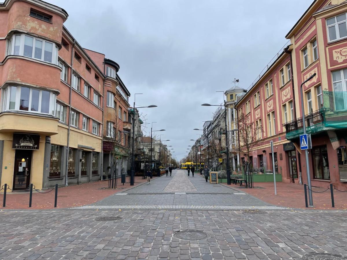 Appartamento Jaukus Apartamentai Miesto Centre Šiauliai Esterno foto